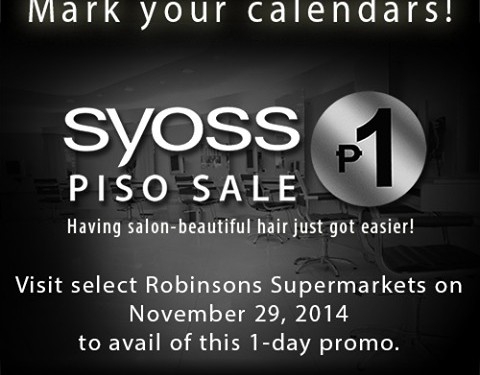 SYOSS Piso Sale – Nov. 29, 2014 Saturday @RobSupermarket