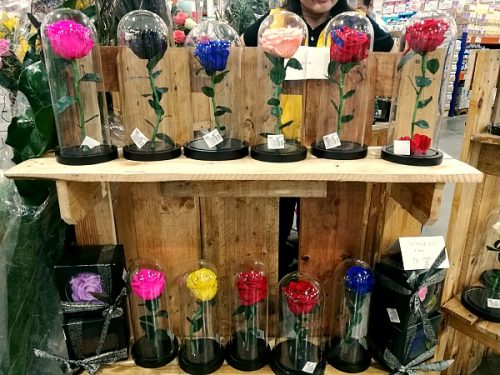 Beauty and the Beast Rose + Mother’s Day 2017 Treats at S&R