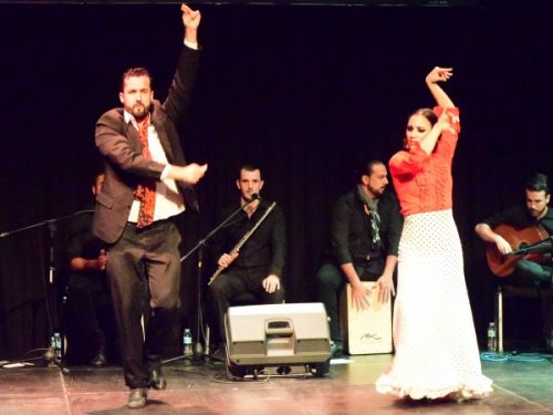 A Night of Flair and Passion at the Origen Flamenco Show