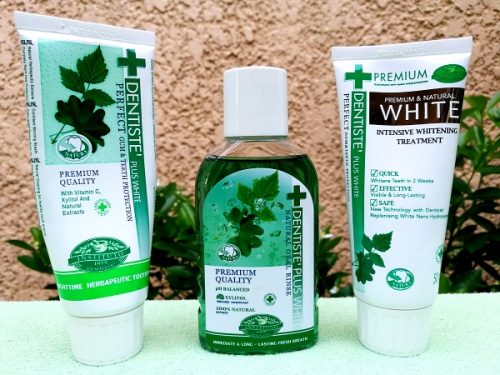 Dentiste PH – Effective All Natural Toothpaste for Tooth & Morning Breath Problems