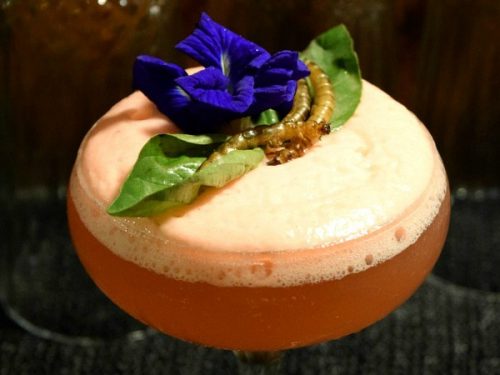 WYLD Kitchen x Bar – Unique, Nature-Inspired Flavors and Cocktails!