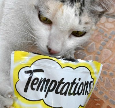 Temptations Cat Treats Are Now Available on Shopee (P50 OFF Promo)