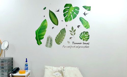 Wall Stickers Review – Very Inexpensive But Practical Way to Decorate